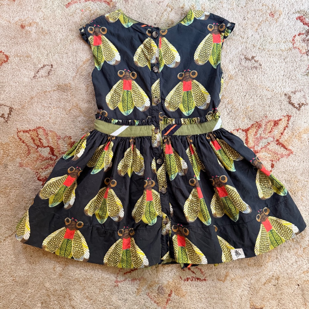 Bijou Sauvage Super Fly Dress | Girls 5